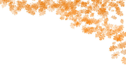  minimalist, clean, modern Autumn leaves scatter isolated on transparent background for seasonal design projects