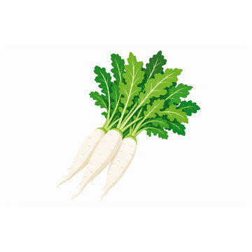 Trio of white daikon radishes with lush green leafy tops on plain white surface.