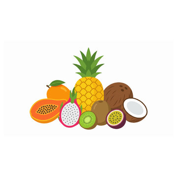Tropical fruit assortment including pineapple papaya and coconut for juice bar.