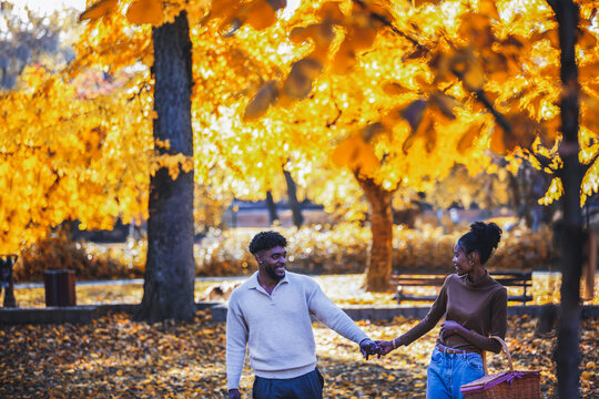 Romantic sunset walk in the autumn park