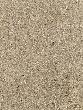 Top View Close Up Texture of Sandy Beach Background