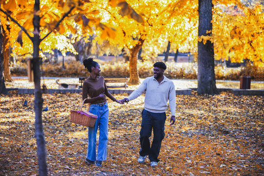 Lovely autumn walk down a scenic park path