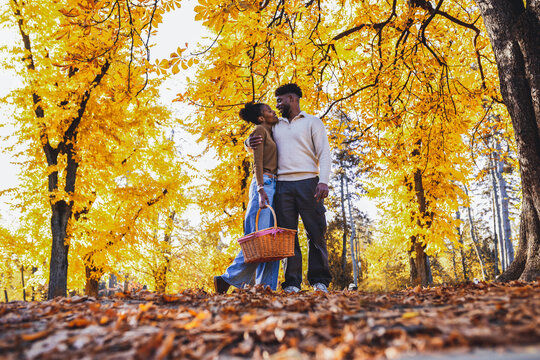  Romantic look between lovers on a leaf-covered path