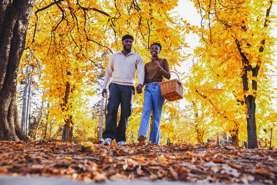  Hand in hand through the spectacular golden forest
