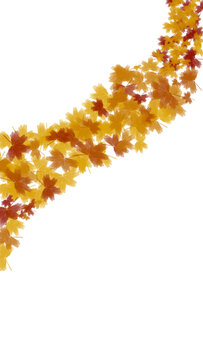 Minimal, abstract, loop, border golden autumn leaves swirling in elegant fall motion isolated on transparent background