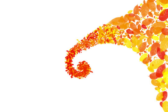 Warm, colorful, artistic, stylized, vibrant autumn leaf swirl isolated on transparent background for seasonal design projects