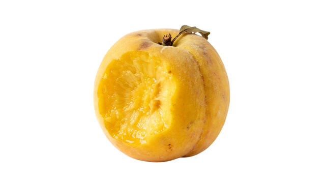 Rotten yellow fruit with a bite taken, showing decay and waste.
