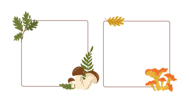 Autumn square frame set with wild mushrooms, chanterelles, oak leaves, and fern isolated on white.