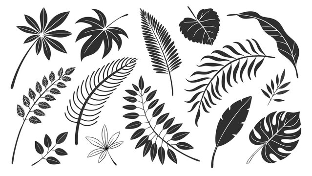 Feather Vector Illustration Set with Vintage Quill, Bird Wing, Nature Silhouettes, Seamless Patterns and Decorative Elements for Wallpaper and Graphic Design
