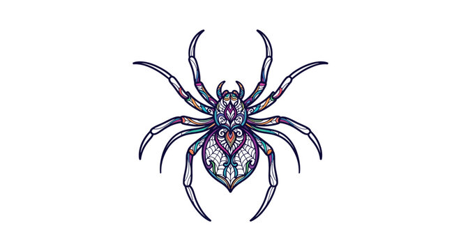Intricate spider illustration with ornamental details on a white background