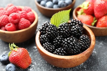 Different ripe berries in bowls and green leaf on grey table, closeup © New Africa