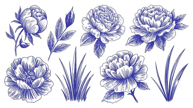 Set of hand drawn textured blue ink rose or peony flowers and leaves. Sketch vector grunge floral blossoms and grass elements, symbols for pattern design, greeting card decoration, logo, tatto