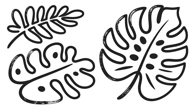 Tropic set of grunge textured vector green ink hand dawn tropical leaves, fern, monstera leaf. Sketch paintbrush botanical elements for textile pattern design, greeting card, logo 