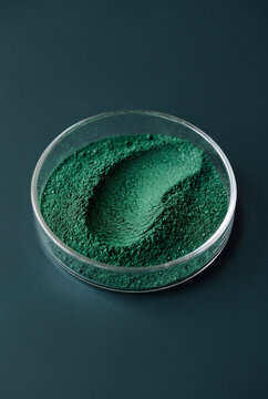 Green spirulina powder in a petri dish