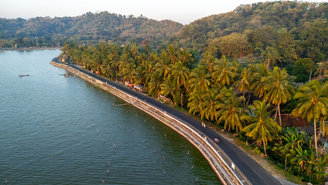 Aerial view of the road along the Rowo Jombor reservoir lined with lush palm trees and hills in the background in Klaten, Central Java, Indonesia.
