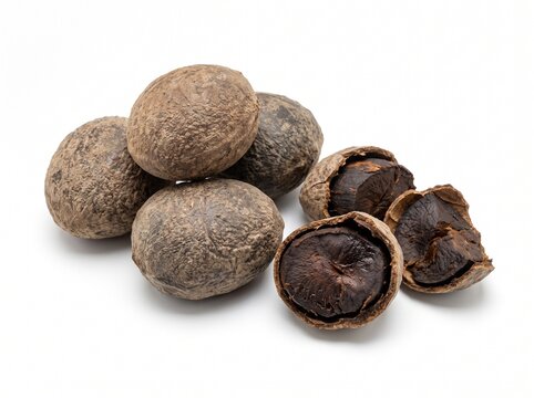 Group of dried kluwek seeds or Pangium edule, some whole and some cracked open, isolated on a clean white background, used as an Asian cooking spice