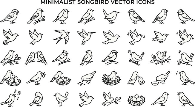 Minimalist Songbird Vector Icon Collection Featuring 40 Clean Line Art Symbols for Sparrows Robins Finches Flying Birds Nests and Wildlife Nature Graphic Designs