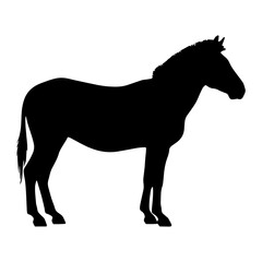 Obraz premium Black silhouette of wild horse standing sideways for nature logo and equestrian graphics.