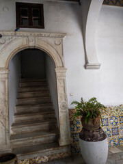 Fototapeta premium Elegant marble archway leads to darkened indoor stone stairs featuring intricate vintage wall tiles and a rustic clay pot with lush green foliage in natural light.