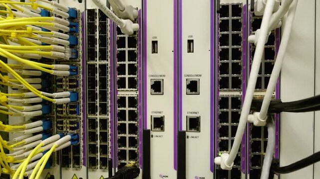 Data Center Network Switch Rack Close-Up Static B-Roll 4K