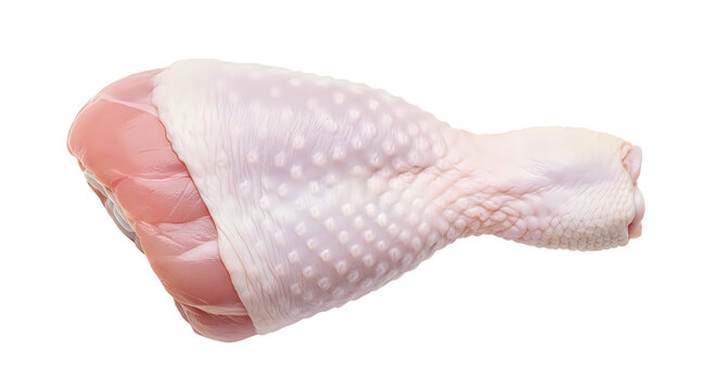 Fresh raw chicken drumstick leg piece for cooking meal
