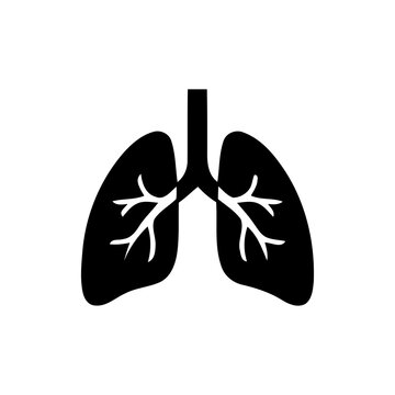 Human lungs silhouette with bronchioles in a clean graphic style isolated on transparent background