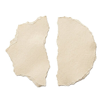Font specimen torn paper pieces texture design element as clean cutout