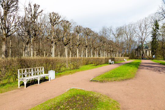 White bench sits quietly beside a winding path