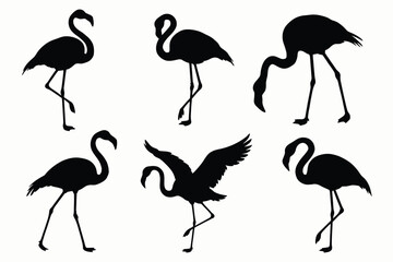Naklejka premium Set of six black flamingo silhouettes showing various natural poses like standing on one leg, foraging, and wings spread isolated on a white background