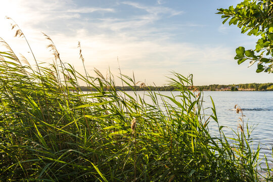 Ein wundersch&ouml;ner Sonnenuntergang am Cospudener See in Leipzig im Sommer