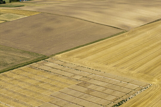 Aerial view of agricultural fields with golden wheat and harvested stubble in Poland.