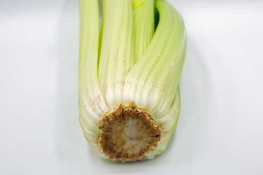 Fresh green celery stalk bunch on white background, closeup.