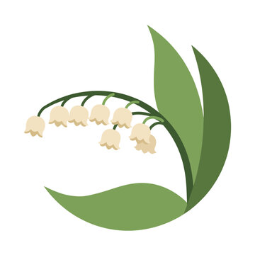 Beautiful cluster of lilies growing on green stem isolated transparent background