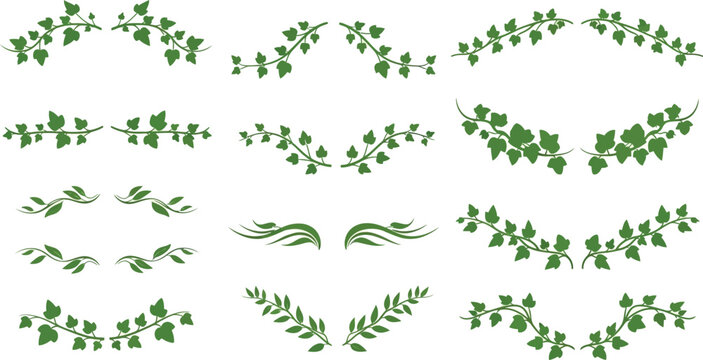 Green ivy leaf border set, decorative botanical vine dividers, 12 organic foliage vector elements for wedding invitations and stationery
