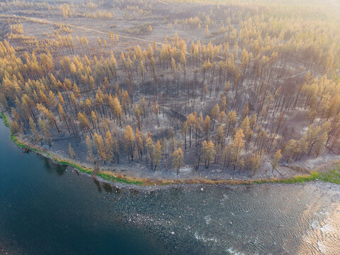 Aerial view of wildfire damage showing scorched trees and burnt forest landscape along the riverbank in Spokane, Washington, United States.
