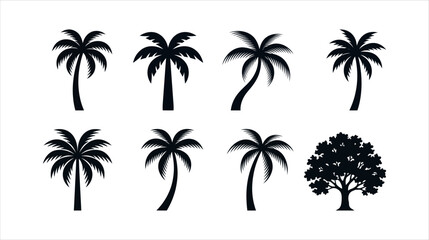 Fototapeta premium Tropical palm tree silhouettes, 8 black botanical icons, summer vacation vector set