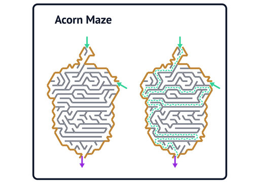 Simple acorn maze for children's educational worksheets and fall activity sheets
