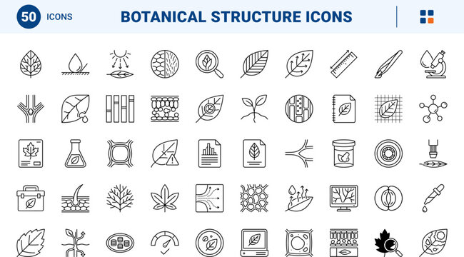 Magnifying leaf vein line icon set. Vector pictograms of magnified, botany, anatomy, and plant elements, thin linear illustration.