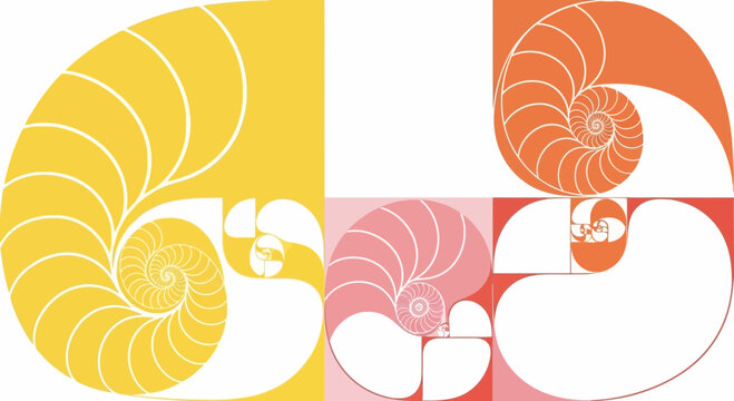 Nautilus shell spirals in yellow spiral chambered