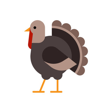 Turkey bird flat illustration, icon or logo. Thanksgiving holiday symbol.