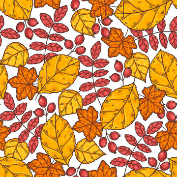 Seamless pattern with colorful autumn leaves on white background. Hand drawn vector illustration.
