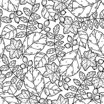Seamless pattern with black and white autumn leaves on white background. Hand drawn vintage engraving style vector illustration.