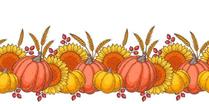 Autumn harvest border with pumpkins, sunflowers, wheat and berries. Horizontal seamless border. Vector illustration.
