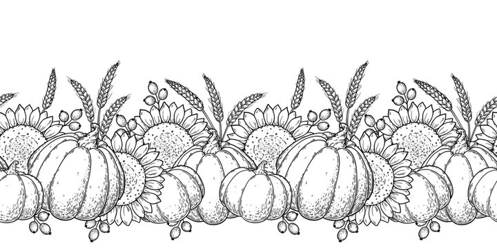 Autumn harvest border with pumpkins, sunflowers, wheat and leaves coloring illustration. Horizontal seamless border. Vector illustration.