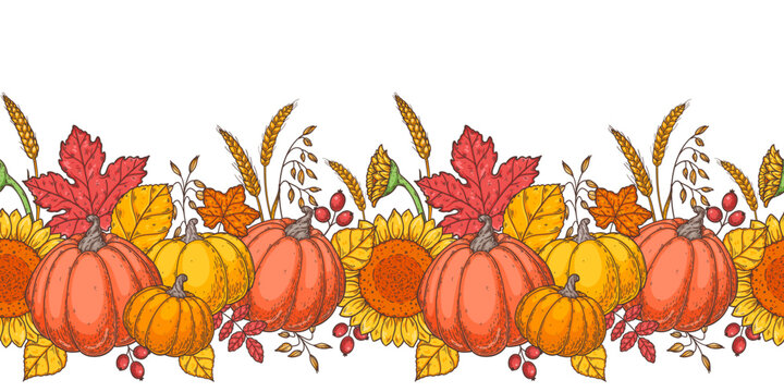 Autumn harvest border with pumpkins, sunflowers, wheat and berries. Horizontal seamless border. Vector illustration.