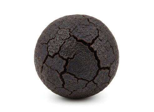 schwarze Limette