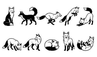 Fototapeta premium Monochrome Fox Wildlife Action and Pose Vector Illustration Set