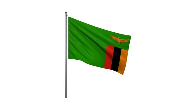 Republic of Zambia national flag isolated on white background. 