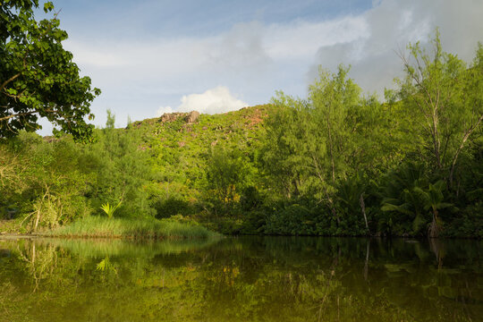 Peaceful tropical lagoon surrounded by lush green forest and hills in the Seychelles, with vegetation reflected in the calm water.