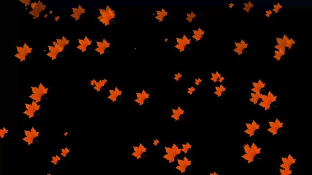 Falling Autumn Leaves Motion Graphics Overlay Particle Effect